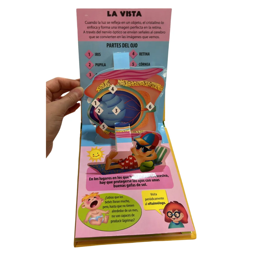Libro Pop Up - El Cuerpo Humano 7