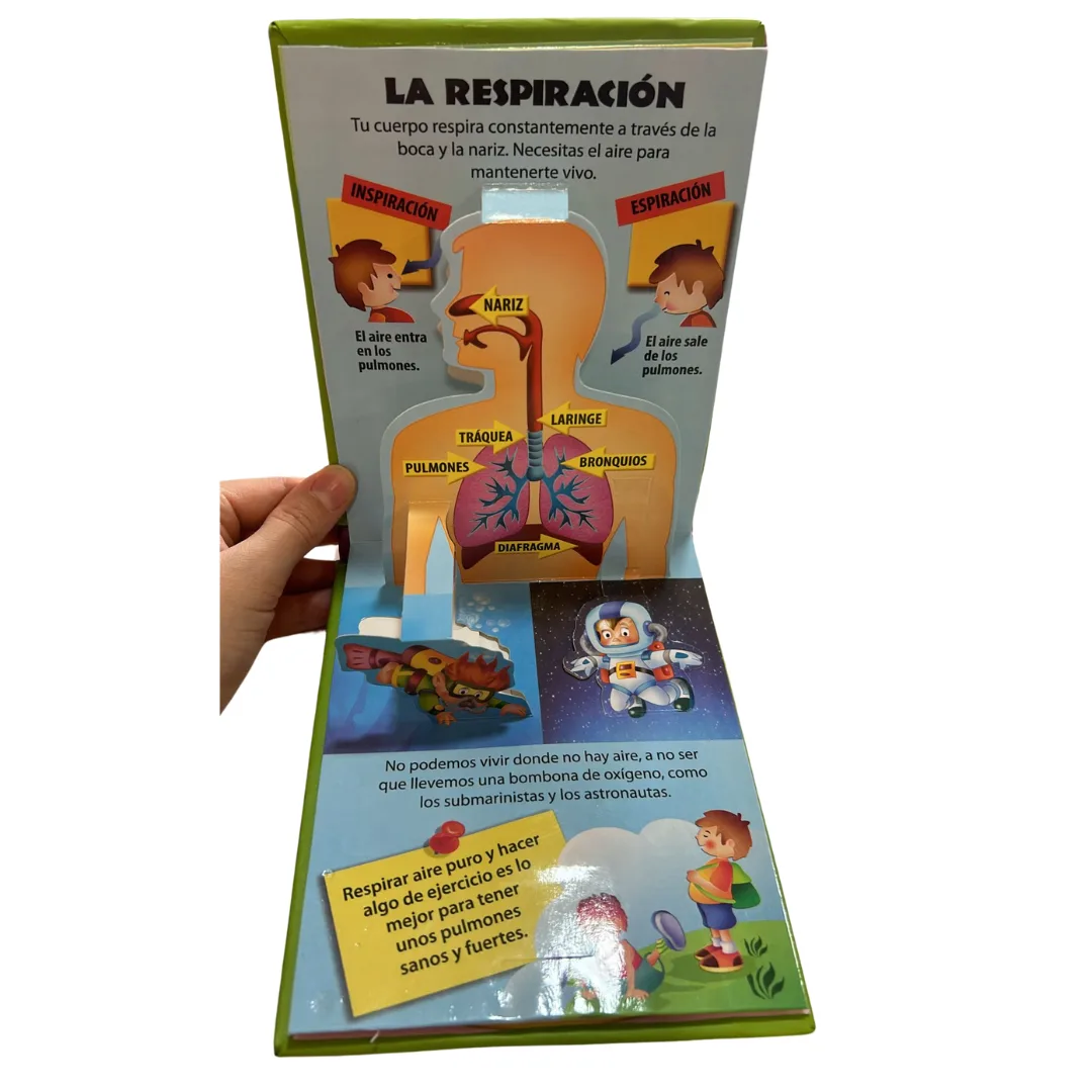 Libro Pop Up - El Cuerpo Humano 3
