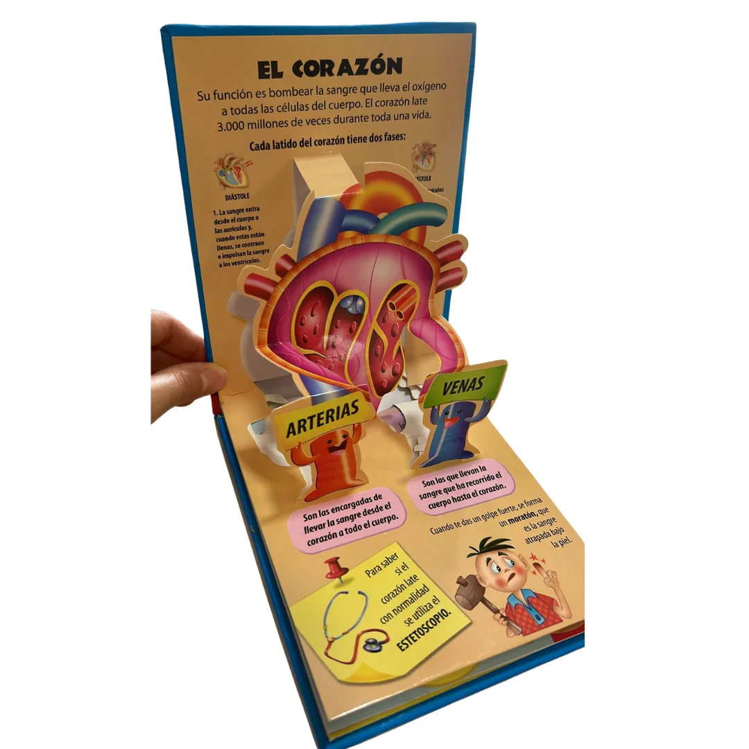 Libro Pop Up - El Cuerpo Humano 5