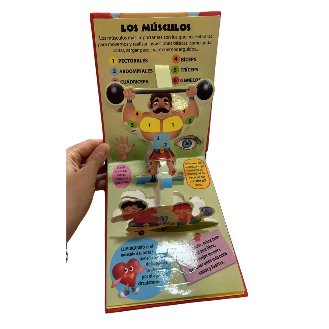 Libro Pop Up - El Cuerpo Humano 9