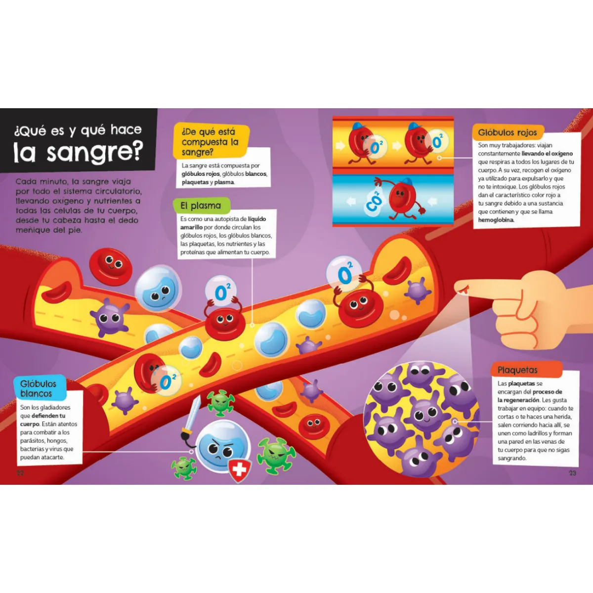 Libro Recorre el Cuerpo Humano 3