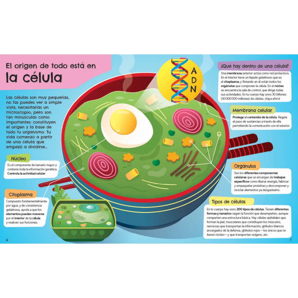 Libro Recorre el Cuerpo Humano 5