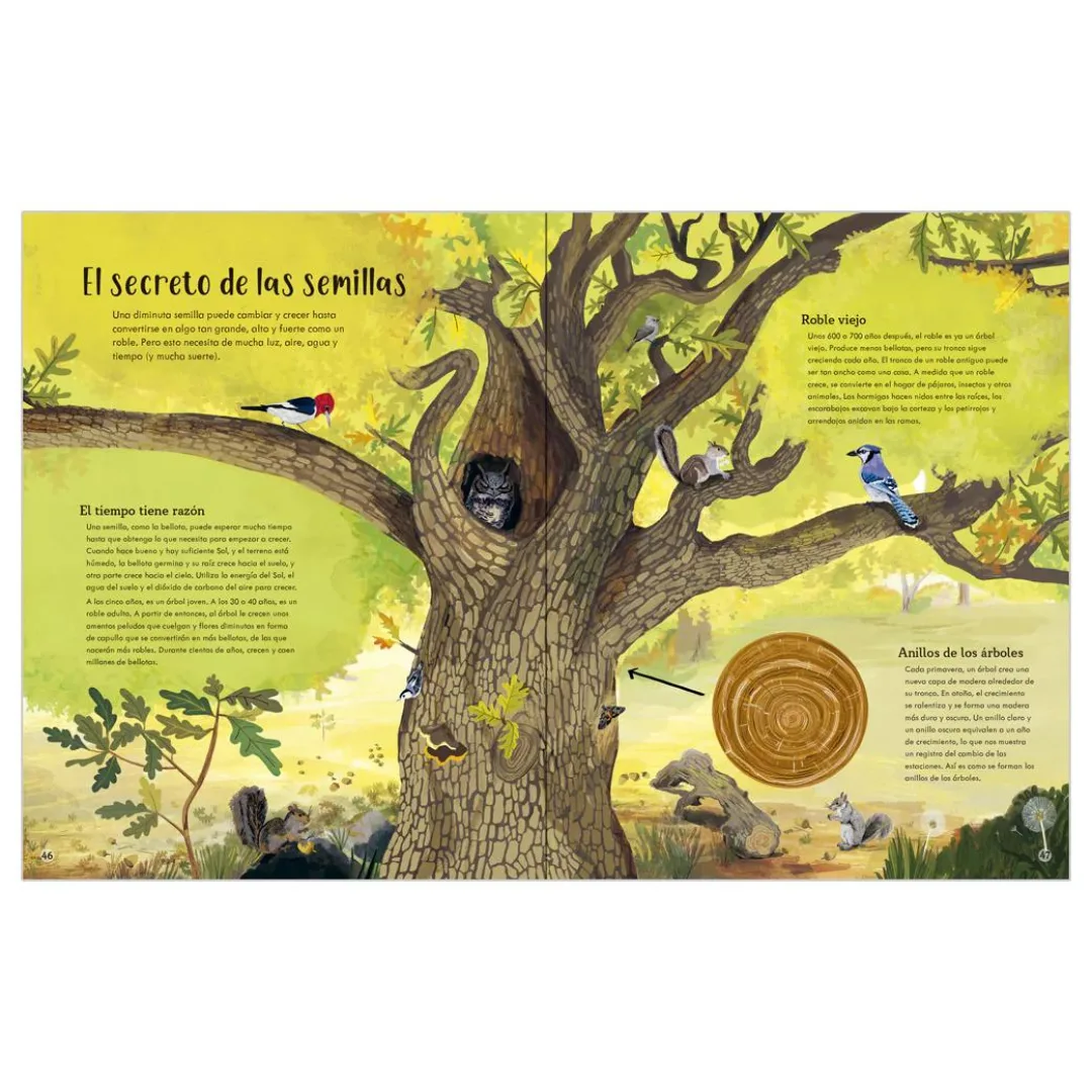 Libro Todas las Cosas Cambian