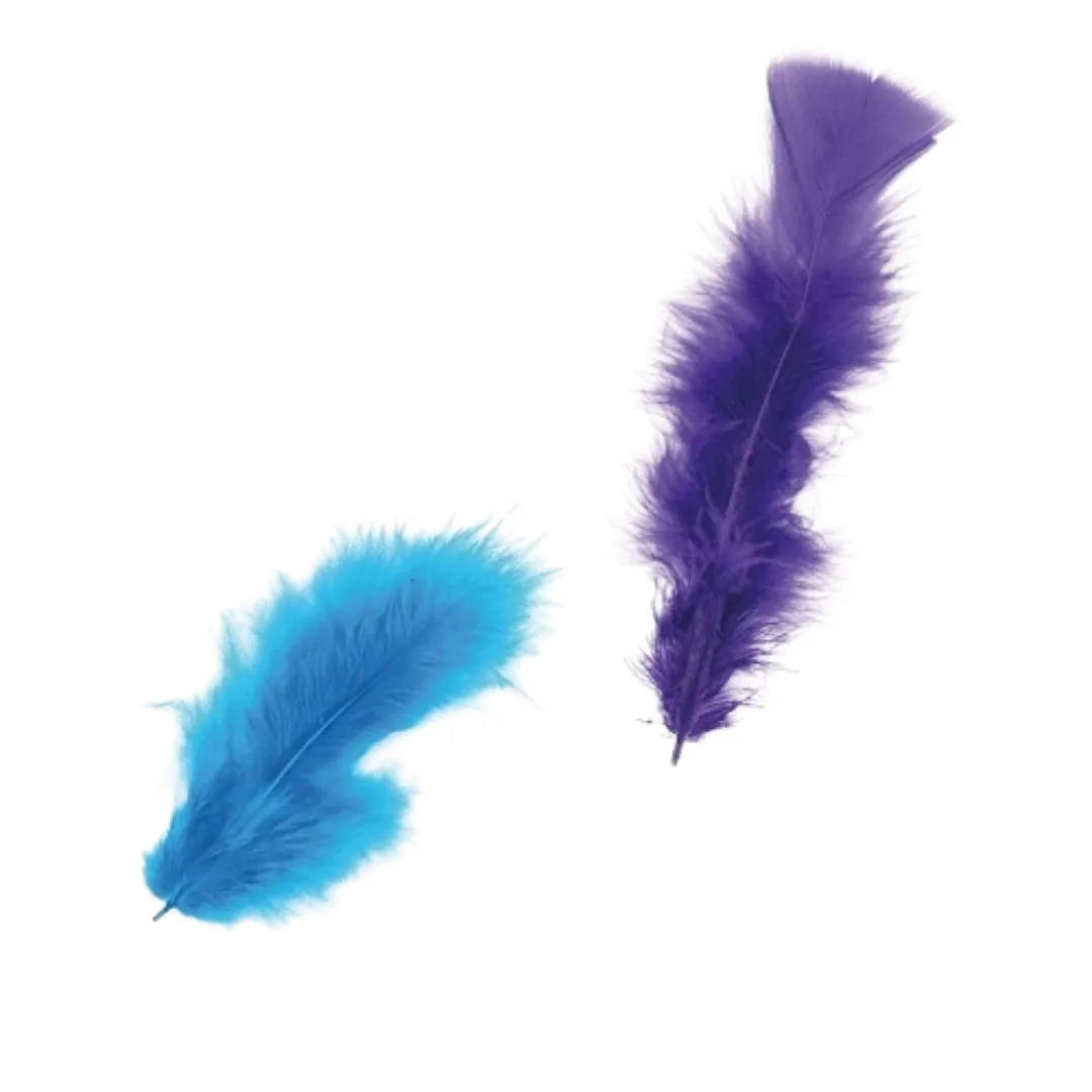 Pack 14g Plumas de Colores - Creative
