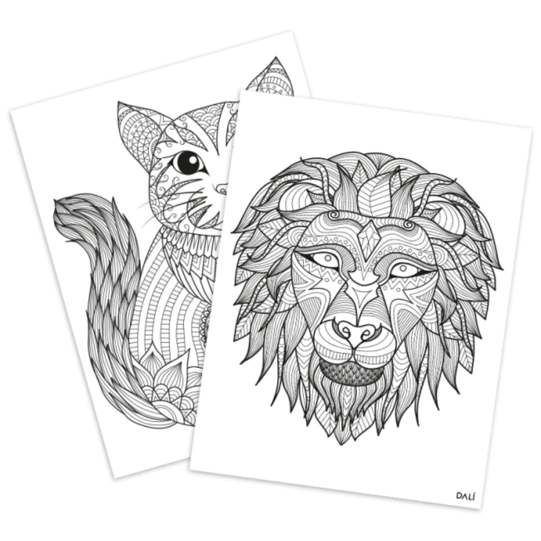 Pack x6 Cartulinas para colorear