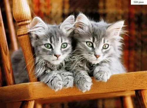 Puzzle 500 Piezas Clementoni Gatitos - Kittens