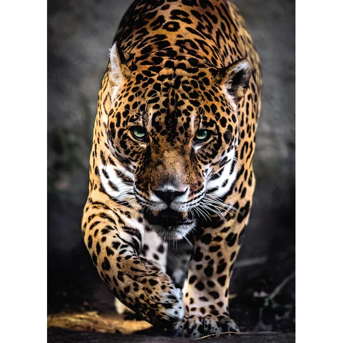 Puzzle Clementoni 1000 Piezas - Walk Of The Jaguar