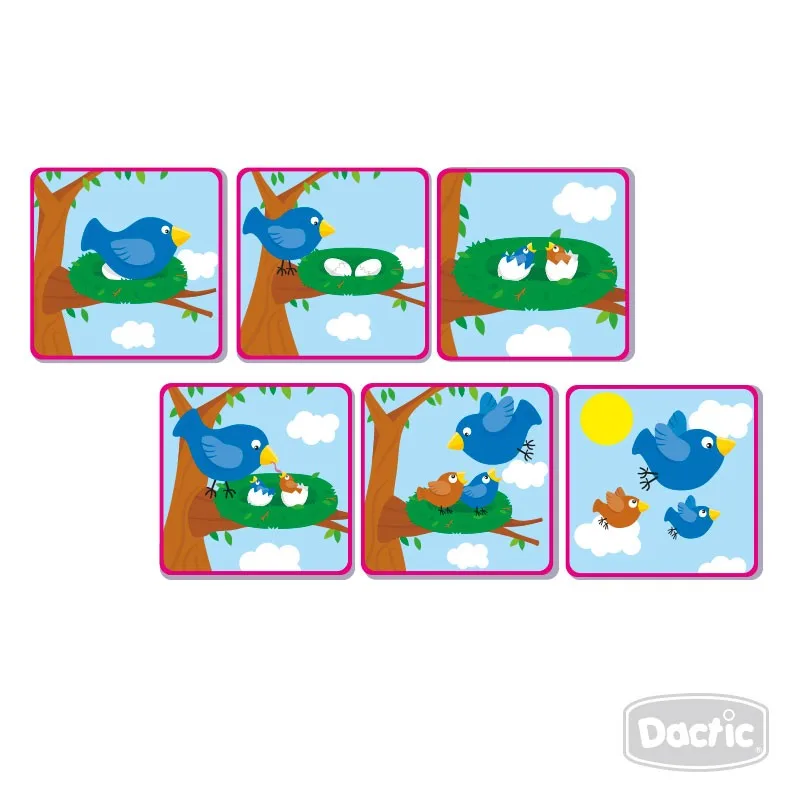 Secuencia de 6 Tiempos - Dactic
