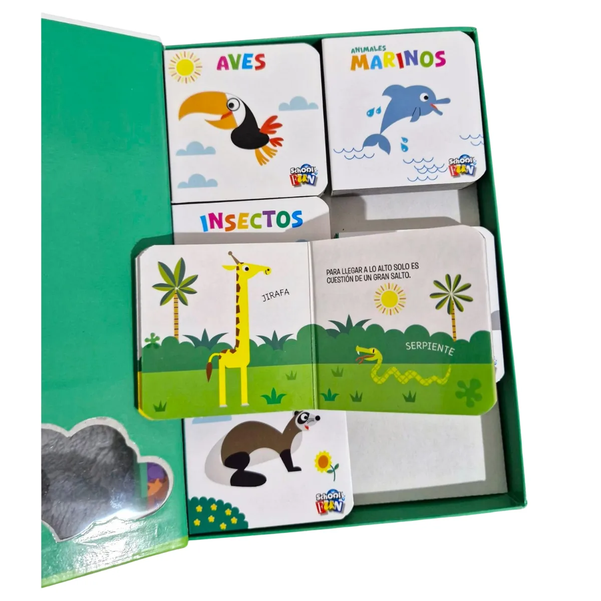 Set x6 Mini Libros El Mundo de los Animales 3